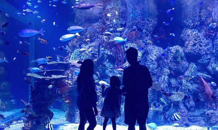 destinasi-wisata-jakarta-aquarium-trentrevel