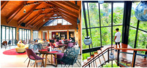 Daftar Tempat Ngopi di Puncak yang Wajib Dikunjungi