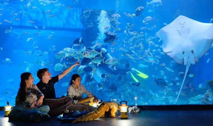 wahana-jakarta-aquarium-trentrevel