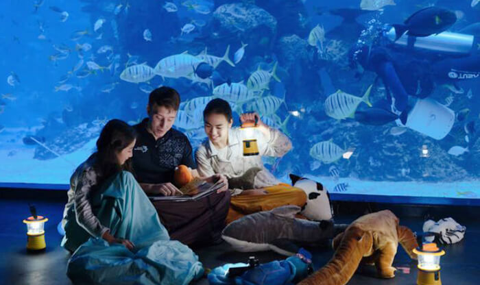 Jakarta Aquarium : Lokasi, Harga Tiket, Jam Buka