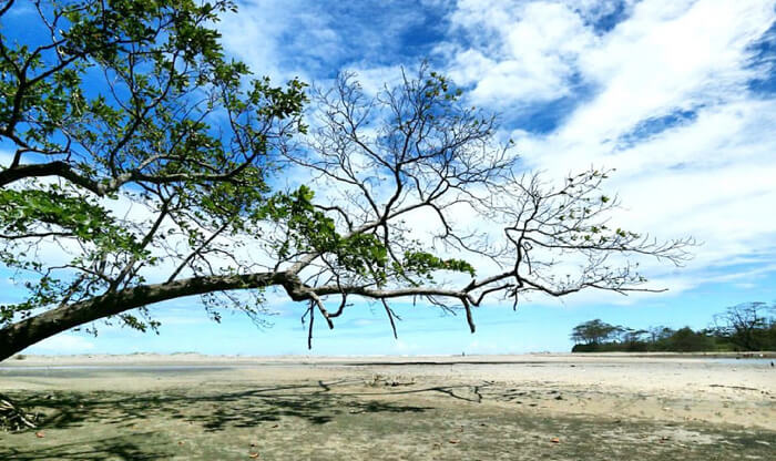 Aktivitas di Pantai Cijeruk Trentravel