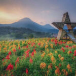 Kampung Organik Brenjonk Trentravel