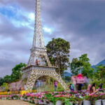 Wisata Taman Bunga Celosia Trentravel