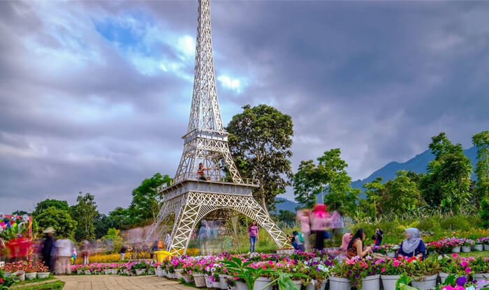 Wisata Taman Bunga Celosia Trentravel