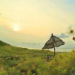 Pantai Cemara Sewu Bantul