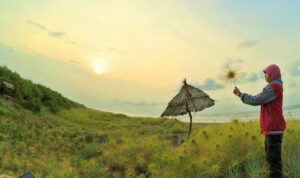Menikmati Pesona Pantai Cemara Sewu Bantul yang Menawan