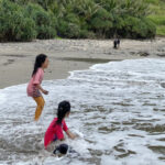 Pantai Sekar Hestina Kebumen Trentravel