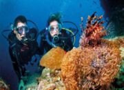 Menjelajahi Kekayaan Bawah Laut, Scuba Diving di Wakatobi