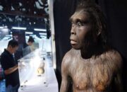 Menyelusuri Keajaiban Sejarah di Situs Purbakala Sangiran