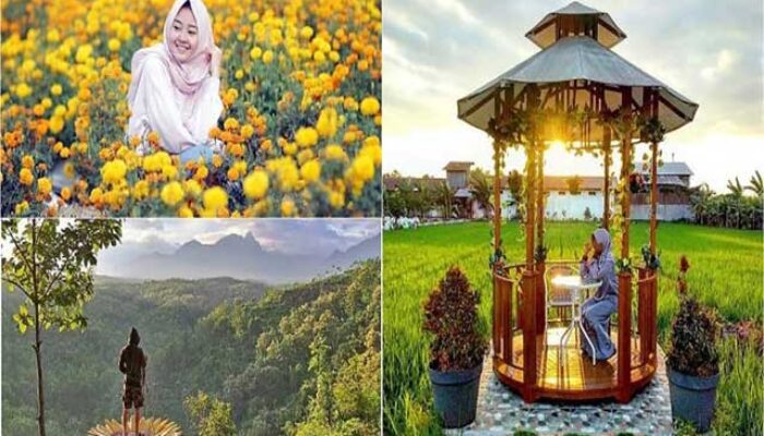 Rekomendasi Wisata Jombang, Penuh Keindahan dan Keunikan