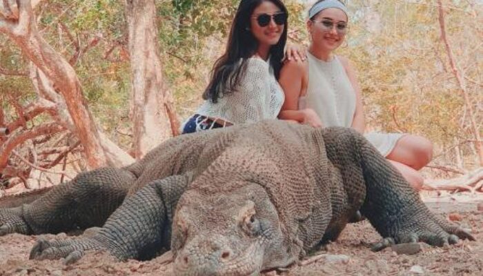 5 Rekomendasi Destinasi Wisata Ekowisata di Indonesia