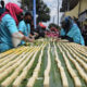 getuk kethek salatiga